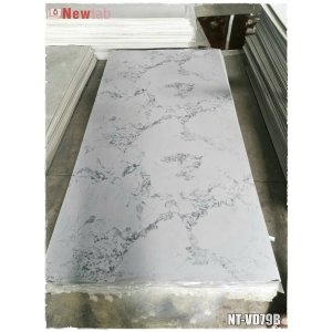 Tâm Nhựa Giả Đá PVC– Sang Trọng, Đẳng Cấp mã VD79b