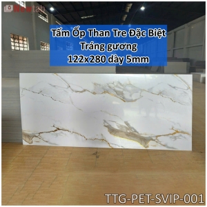 Tấm Ốp Than Tre Tráng Gương Vân Đá 5mm- Mã PET-SVIP-001